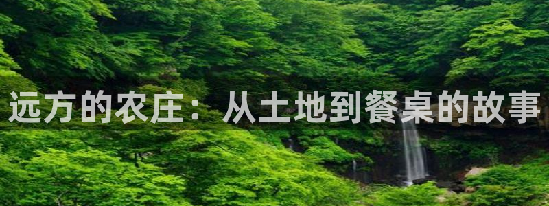 天辰娱乐平台靠谱么