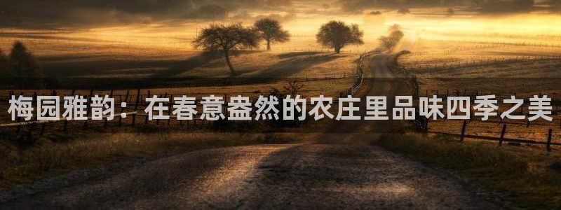 天富天辰娱乐