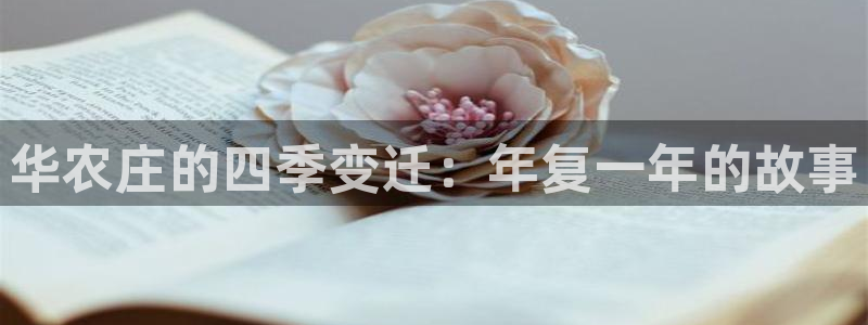 天辰娱乐新