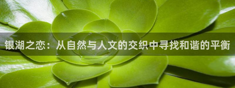 天辰娱乐平台注册