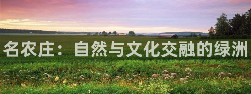 天辰娱乐 首选