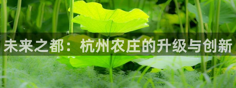 天辰说娱乐