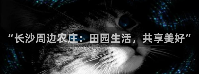 天辰娱乐视频