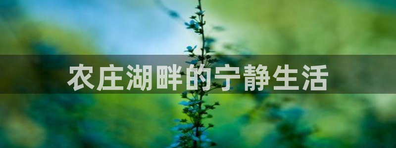 天辰娱乐44516