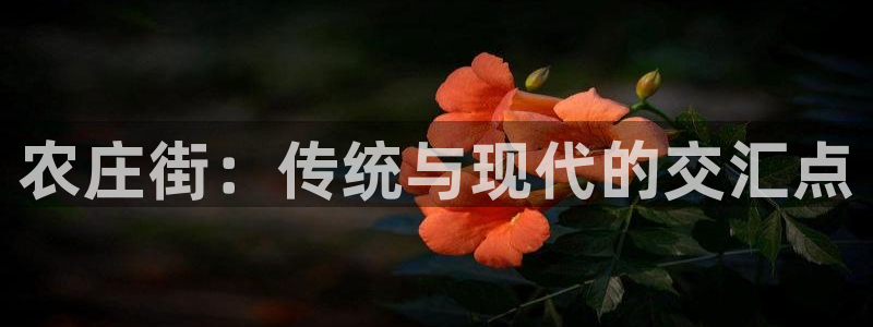 天辰娱乐十分彩