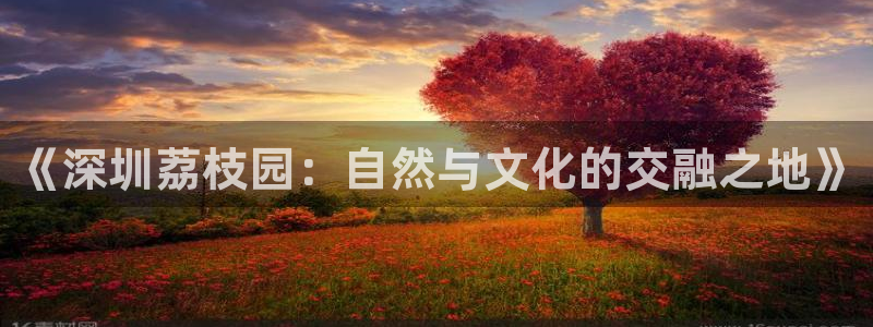 天辰娱乐咋样